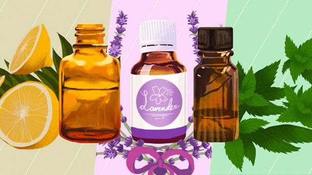 Oil is well: The beginner’s guide to essential oils