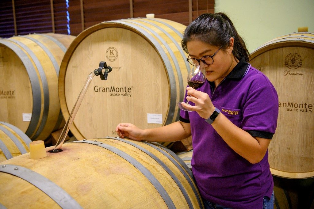 One vine day: Thai wine sisters take aim at booze monopoly