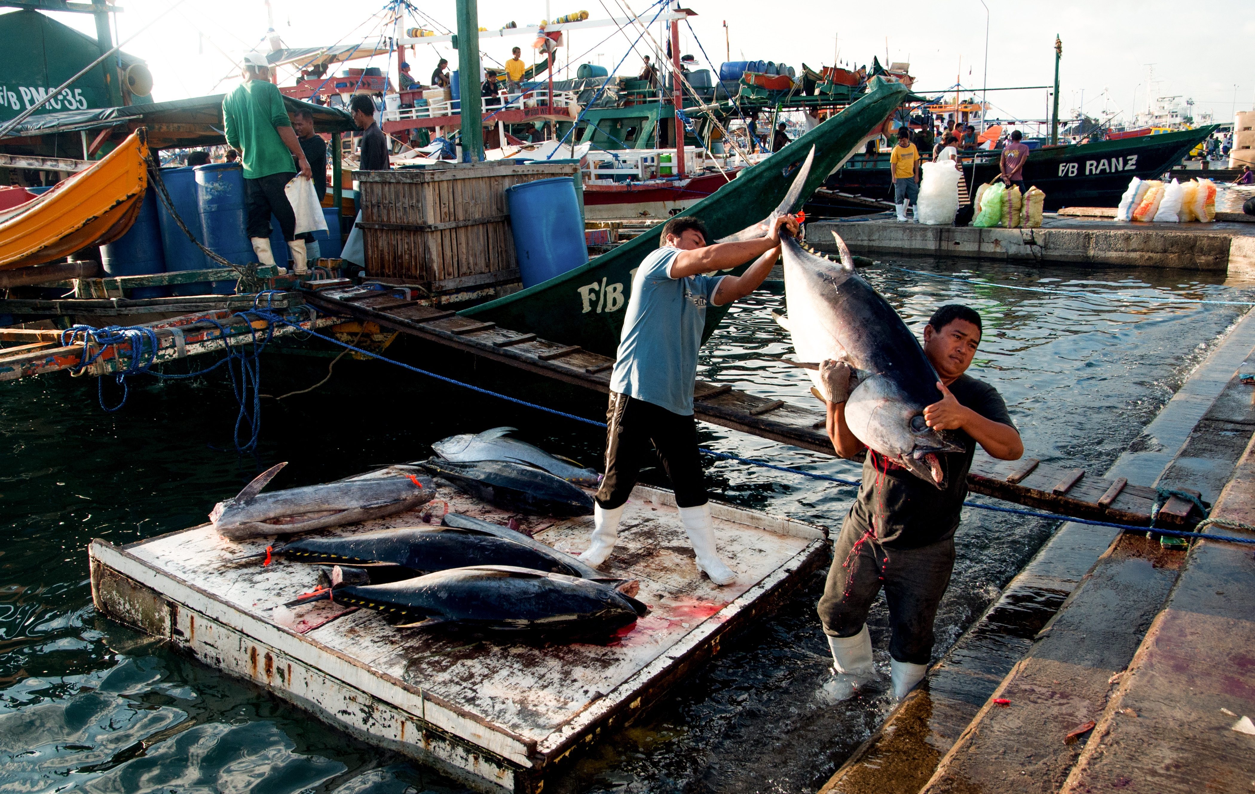 Shutdown of GenSan fish port operations eyed due to COVID-19 cases