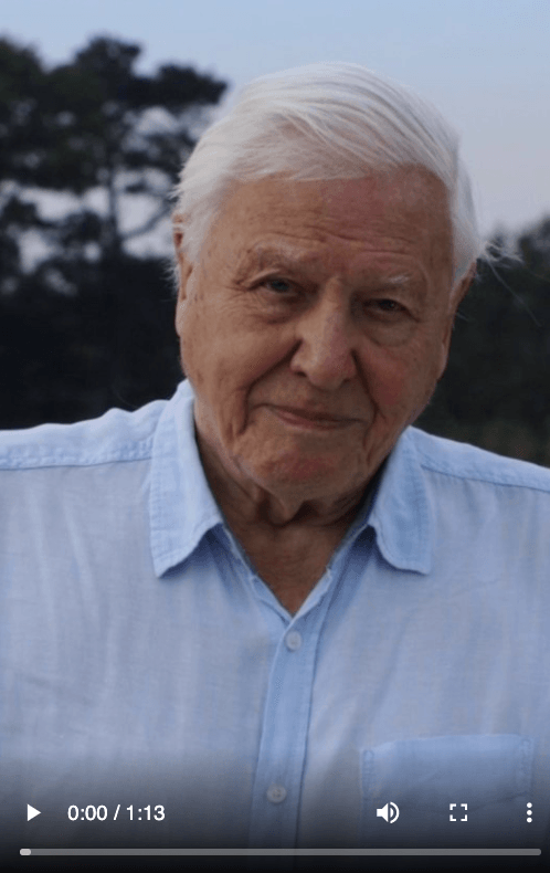 New Instagrammer David Attenborough swiftly attracts one million followers