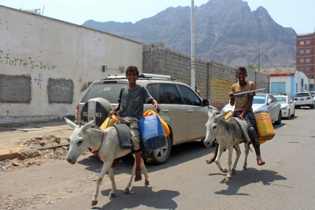 Donkeys turn into prized asset as Yemen economy sags