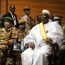 Mali’s new interim leader stands by handover, international accords