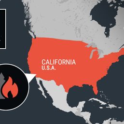 ‘Gender reveal firework’ causes southern California’s El Dorado fire