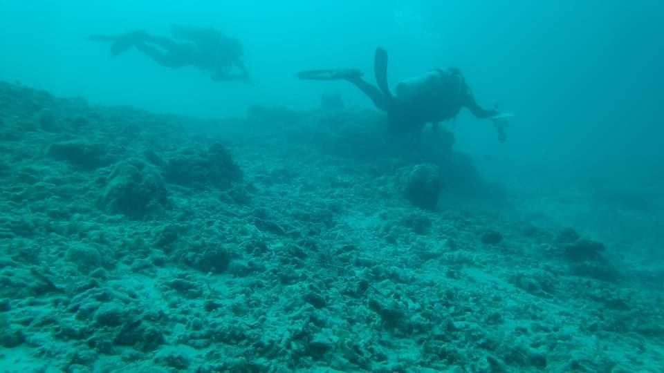 Heavy siltation, poor coral cover in areas around dolomite mine in Cebu