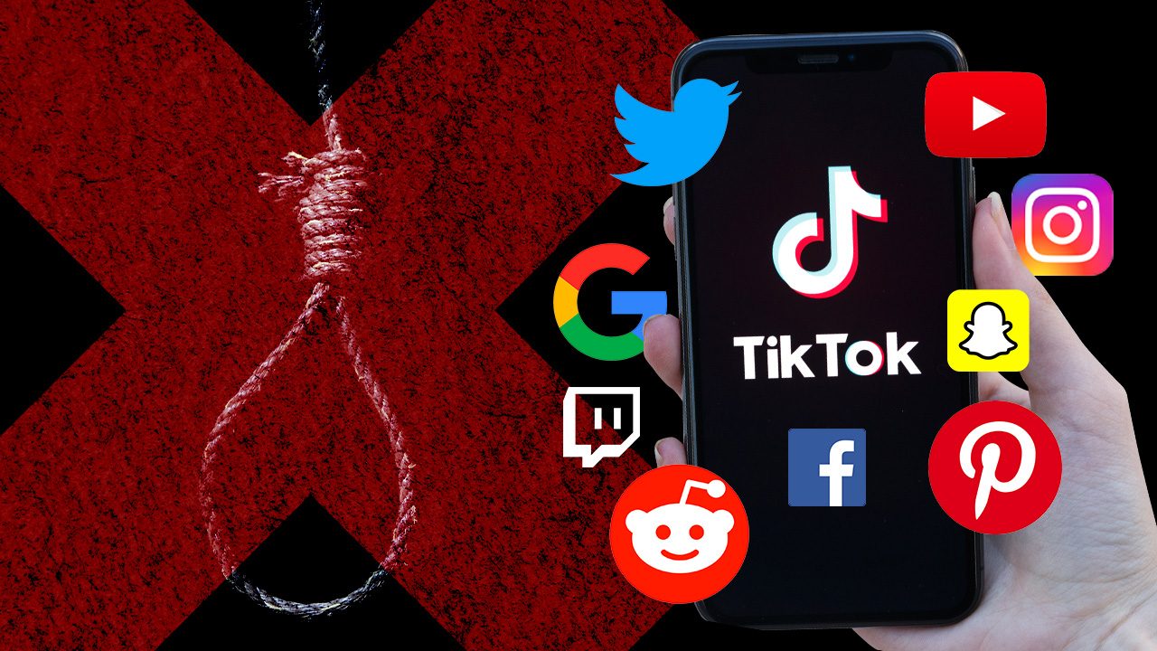TikTok urges social media alliance against suicide content
