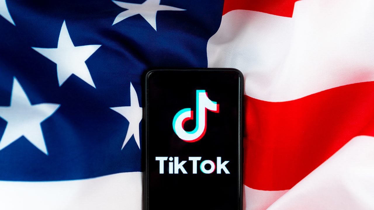TikTok launches US election guide to battle misinformation