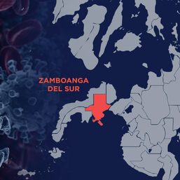 Zamboanga del Sur confirms local COVID-19 transmission