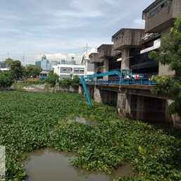 Pasig River ferry halted temporarily due to volume of water hyacinths