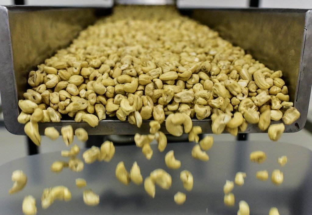 Record cashew crop in world leader Ivory Coast, but COVID-19 hits prices