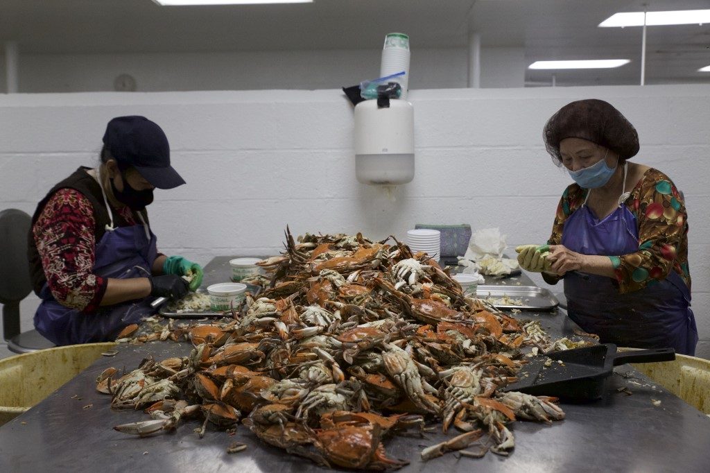 Immigration impasse, coronavirus clobber iconic US crab industry