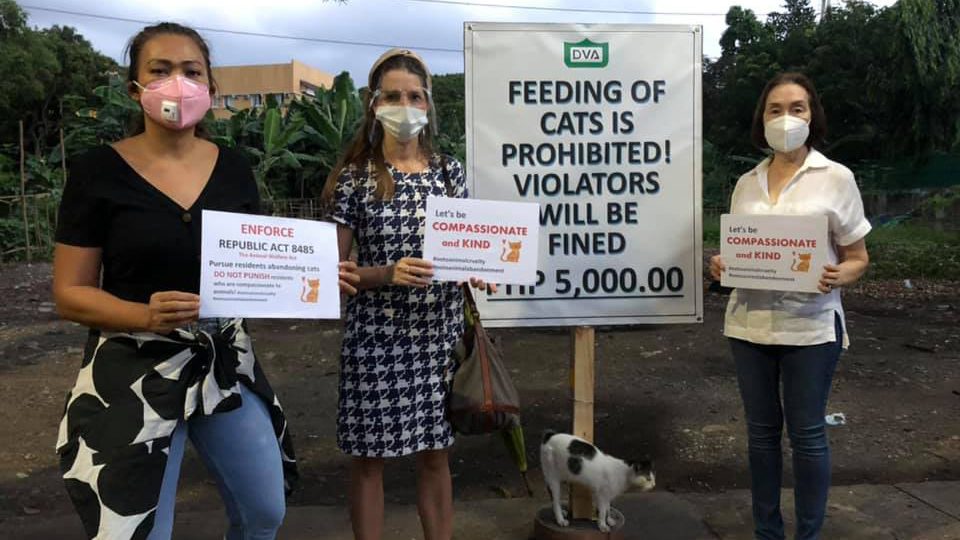 Dasmariñas village association says ban on feeding stray cats ‘not an act of cruelty’