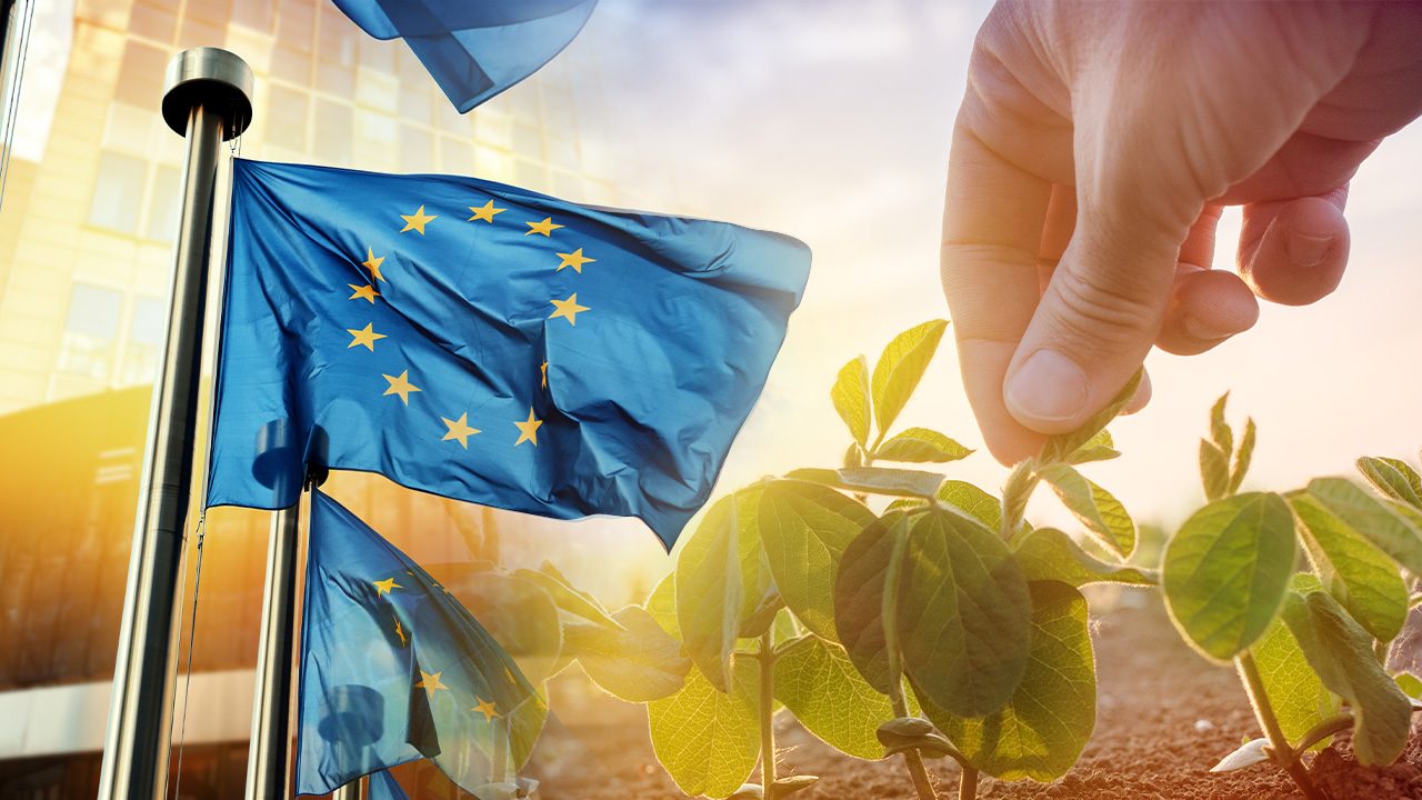 EU adopts ‘life insurance’ biodiversity plan