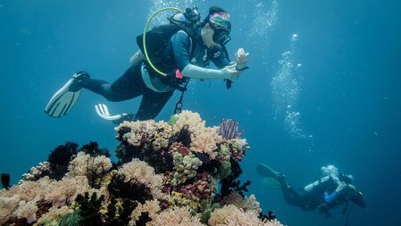 Batangas opens dive sites to tourists
