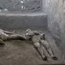 Remains of 2 victims of 79 AD volcanic eruption unearthed at Pompeii
