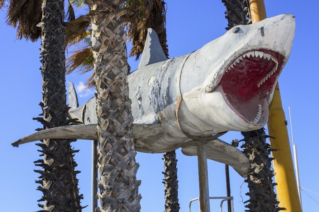 ‘Jaws’ shark installed in Oscars museum