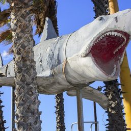 ‘Jaws’ shark installed in Oscars museum