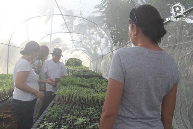Albay village offers a healthy option to residents in time of pandemic