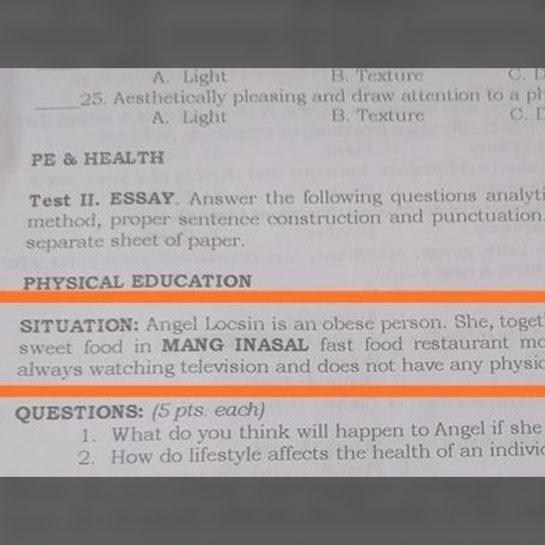 DepEd apologizes for module ‘body-shaming’ Angel Locsin