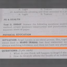 DepEd apologizes for module ‘body-shaming’ Angel Locsin