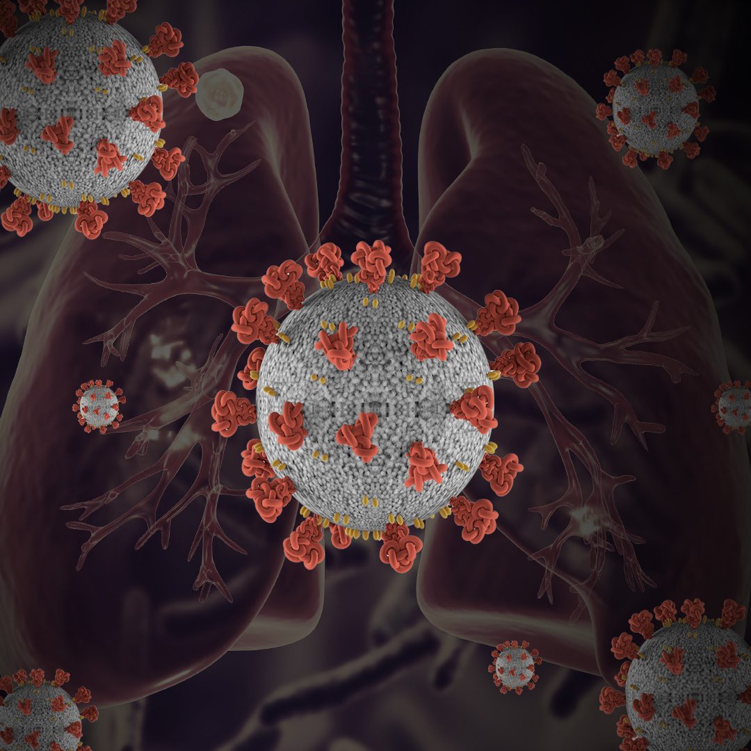 Coronavirus crippling fight against other pandemic – TB