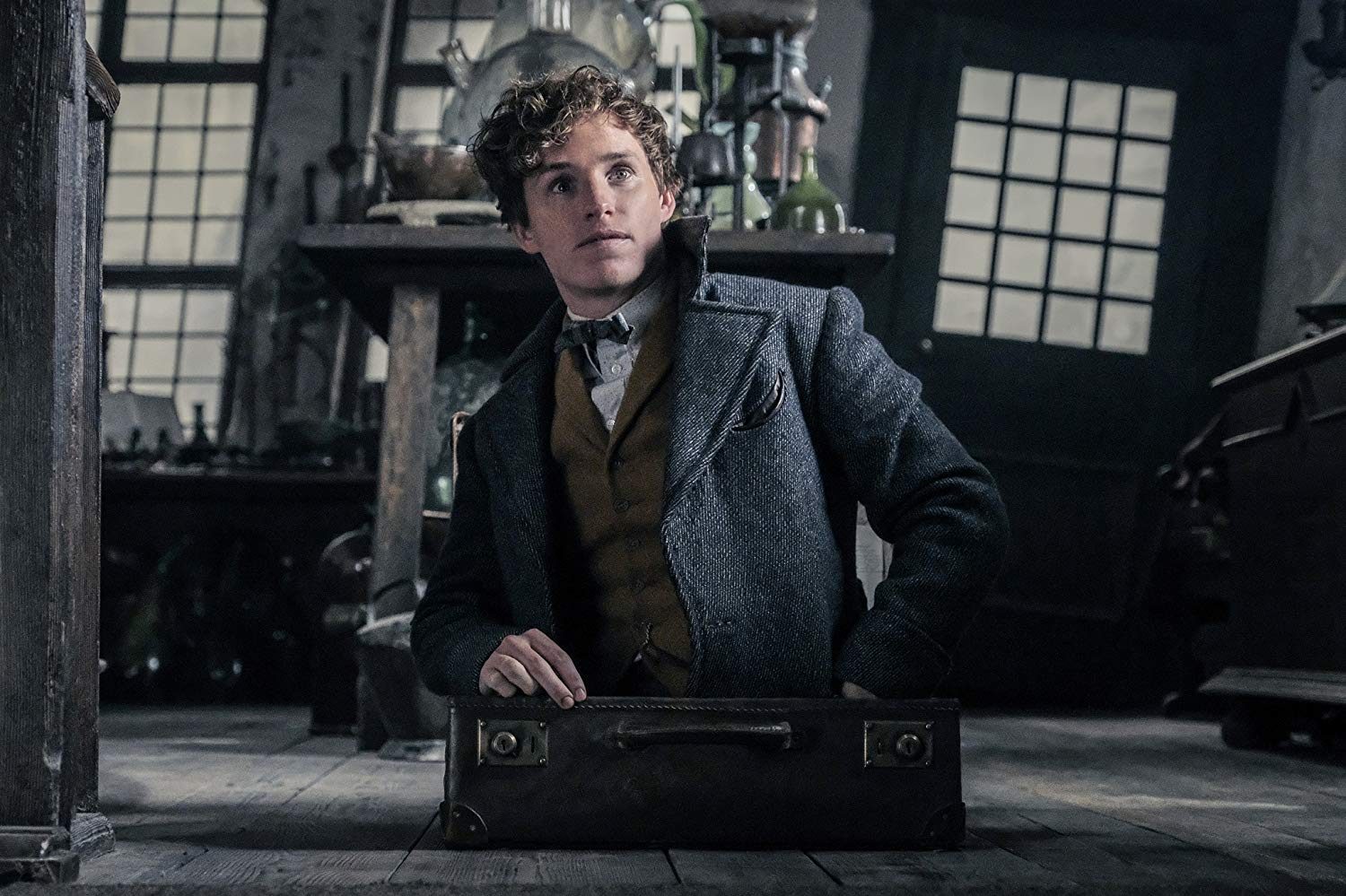 ‘Fantastic beasts’ take over London’s Natural History Museum