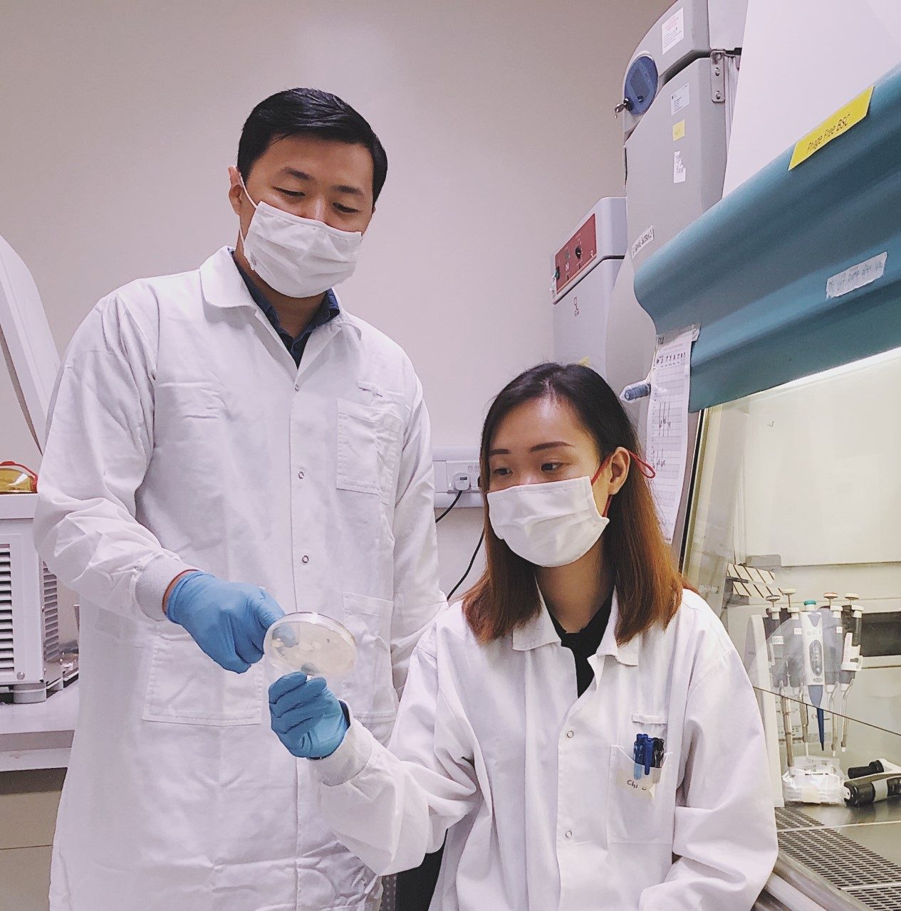 Singapore team develops way to selectively kill bacteria
