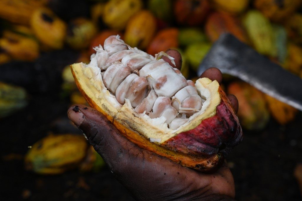 African cocoa producers unleash PR offensive on chocolate giants