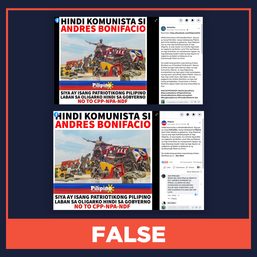FALSE: Andres Bonifacio not a rebel against government