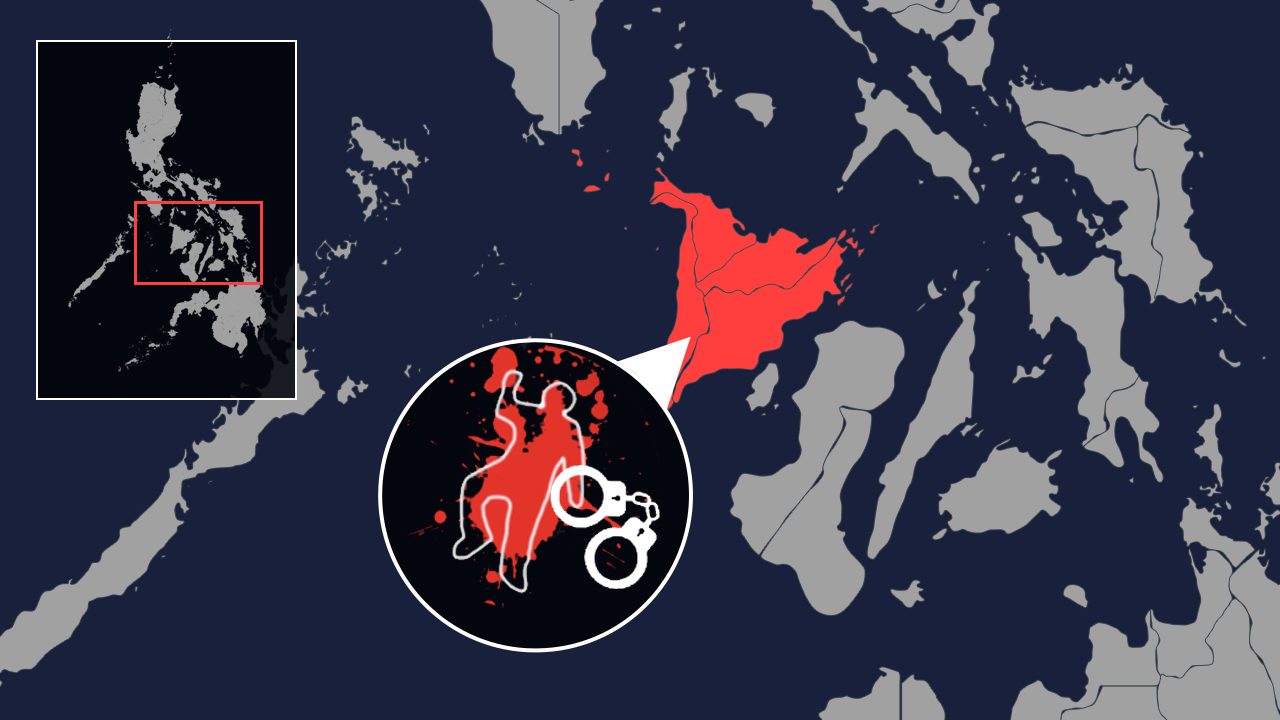 9 red-tagged IPs killed, 17 others nabbed in police ops on Panay Island