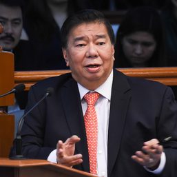 Drilon counters Trillanes: Opposition needs ‘big tent’ to win in 2022
