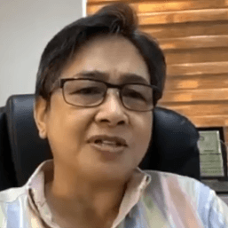 Davao City declares Walden Bello persona non grata