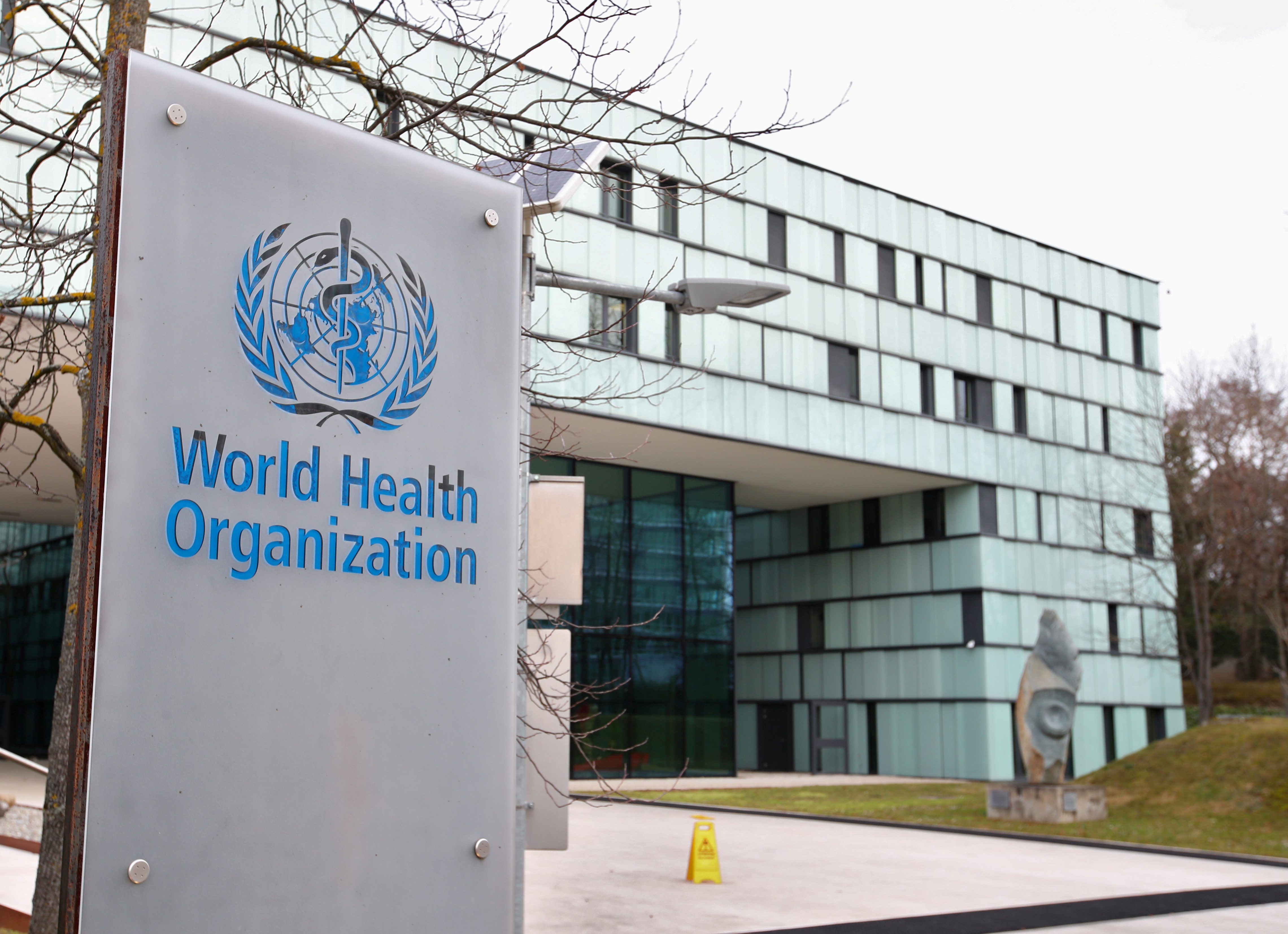 WHO plans slew of COVID-19 vaccine approvals for global rollout – document