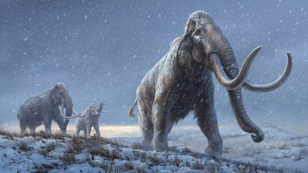 Teeth from Siberian mammoths yield oldest DNA ever recovered