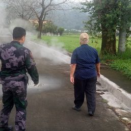 Phivolcs: Steam seen near Mount Makiling came from hot springs