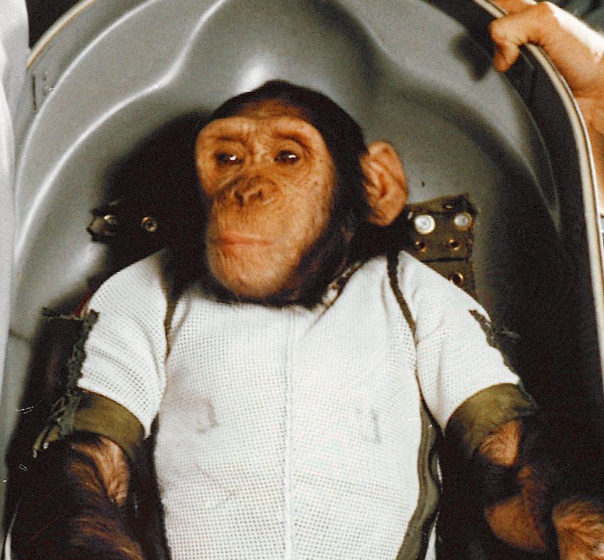 HAM the First Chimp in Space PHOTO Hominid Mercury-Redstone 2 Mission Flight 