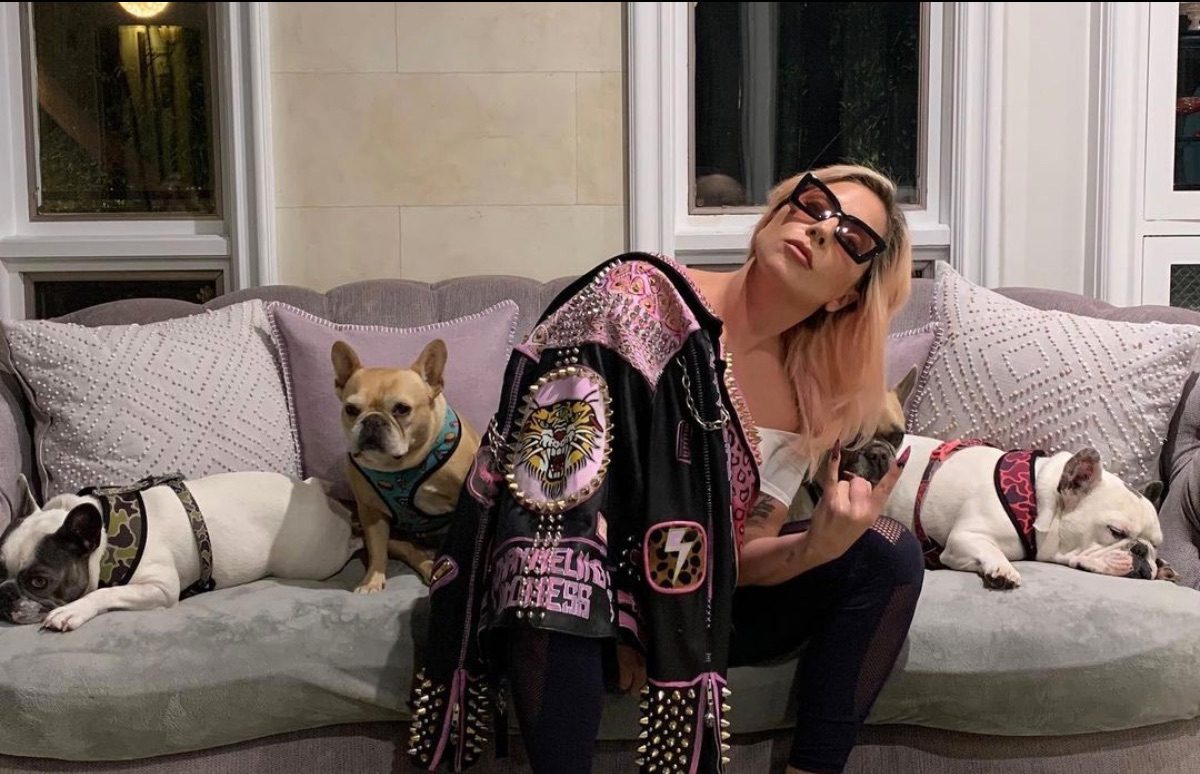 Lady Gaga’s two abducted bulldogs returned unharmed to police