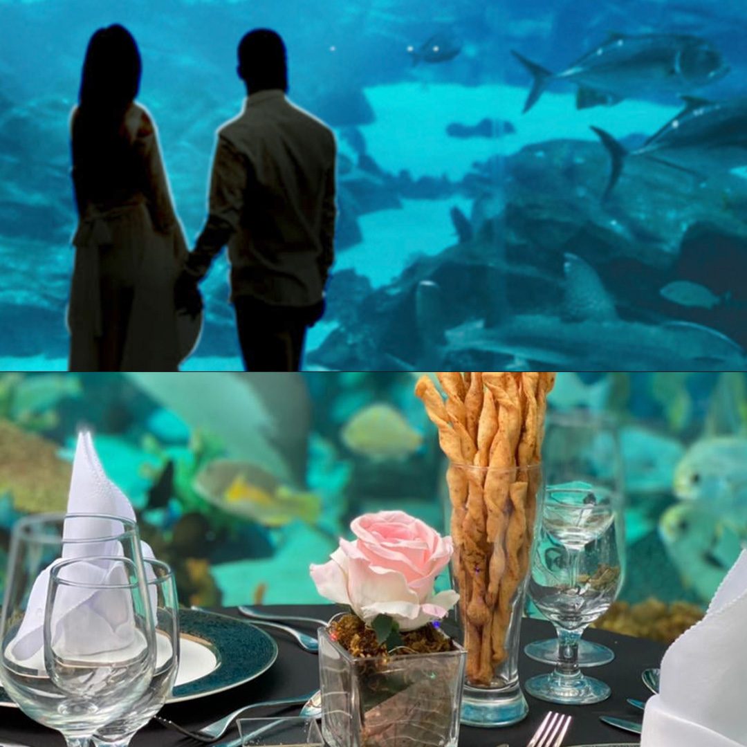 Cebu Ocean Park lets you ‘dine underwater’ for Valentine’s Day