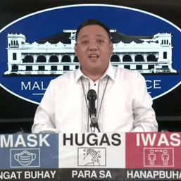 After failed ILC bid, Harry Roque vies for Senate seat