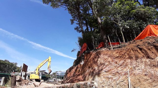 Religious congregation protests cutting of trees along Baguio compound