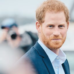 Prince Harry’s critics have a point: Woke capitalism is no solution