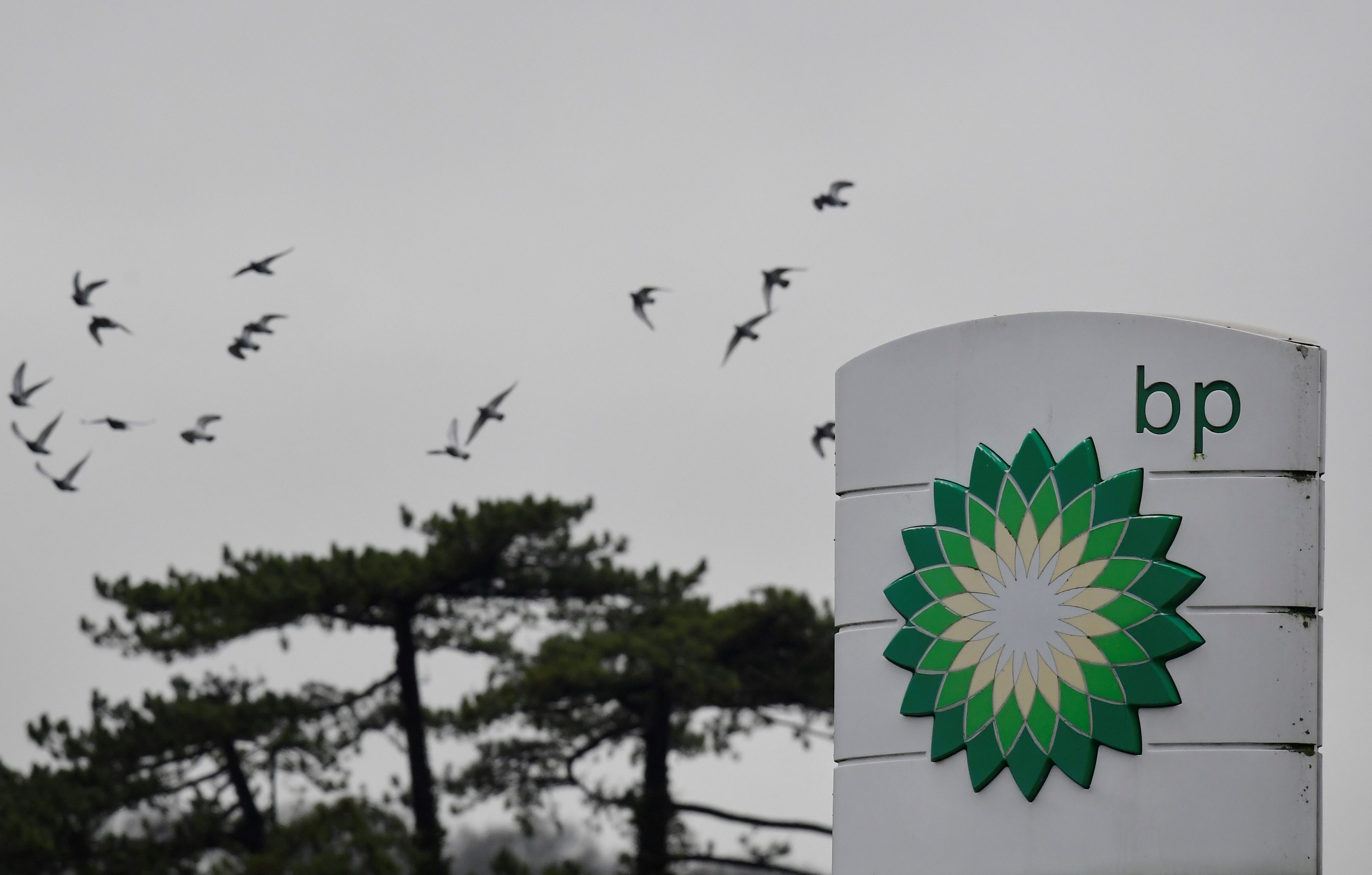 Pandemic drives oil major BP to first loss in a decade