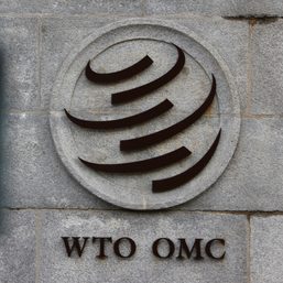 WTO hikes trade forecasts but cautions on pandemic risk