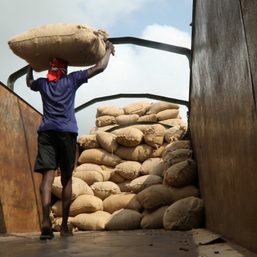 Ivory Coast’s cashew processors driven into bankruptcy by Asian competition