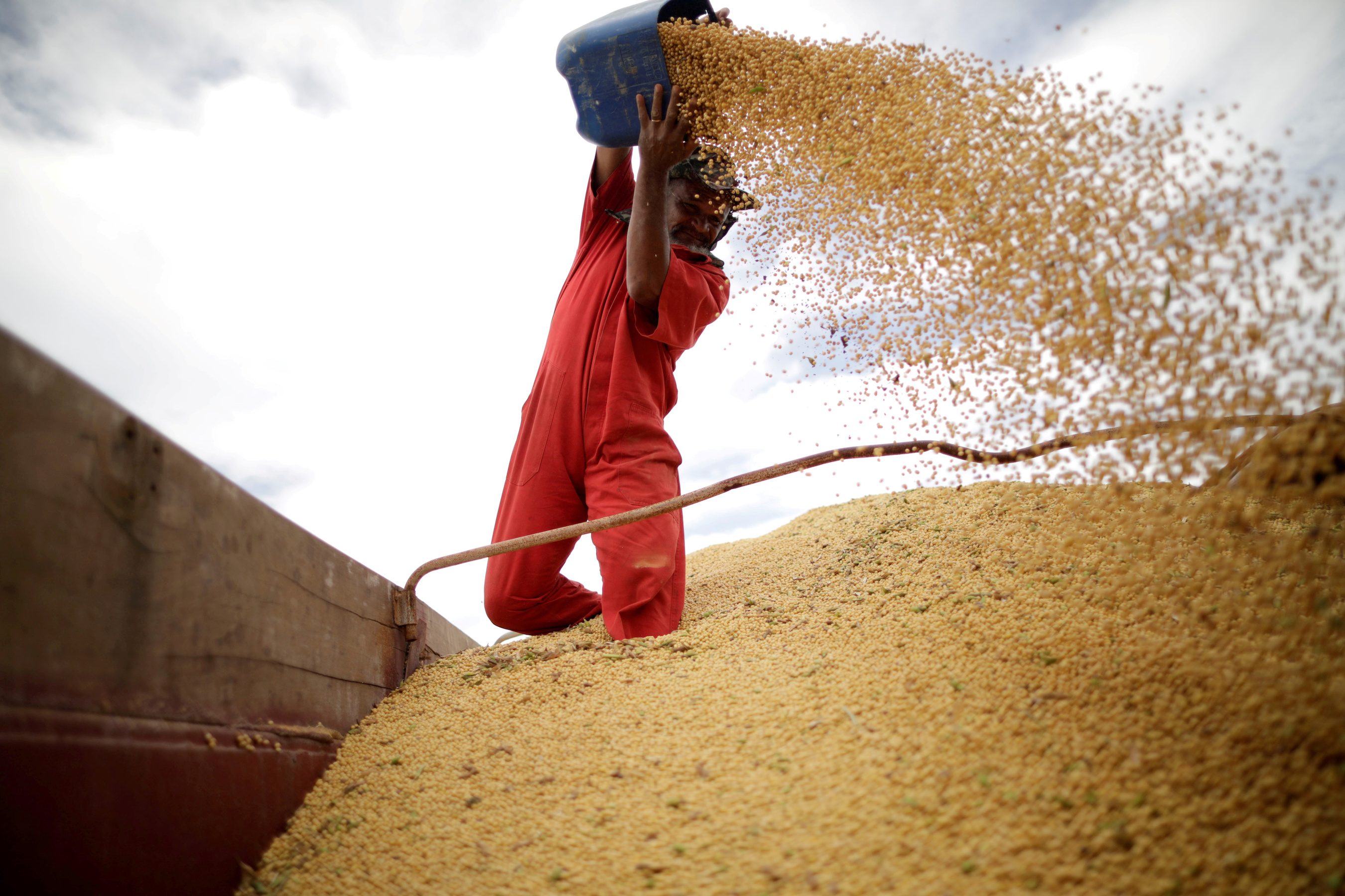 Brazil’s slow soybean harvest widens US export window