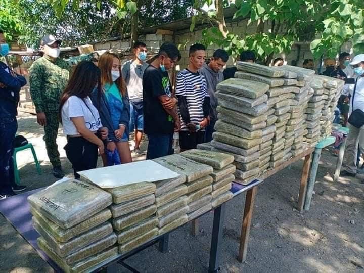 P20-M worth of marijuana seized in Tarlac buy-bust operation