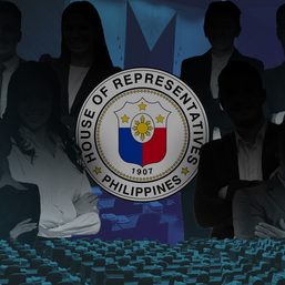 Mga Gahum kag Katungdanan: Representate sang Distrito, Representante sang Party List sa Filipinas