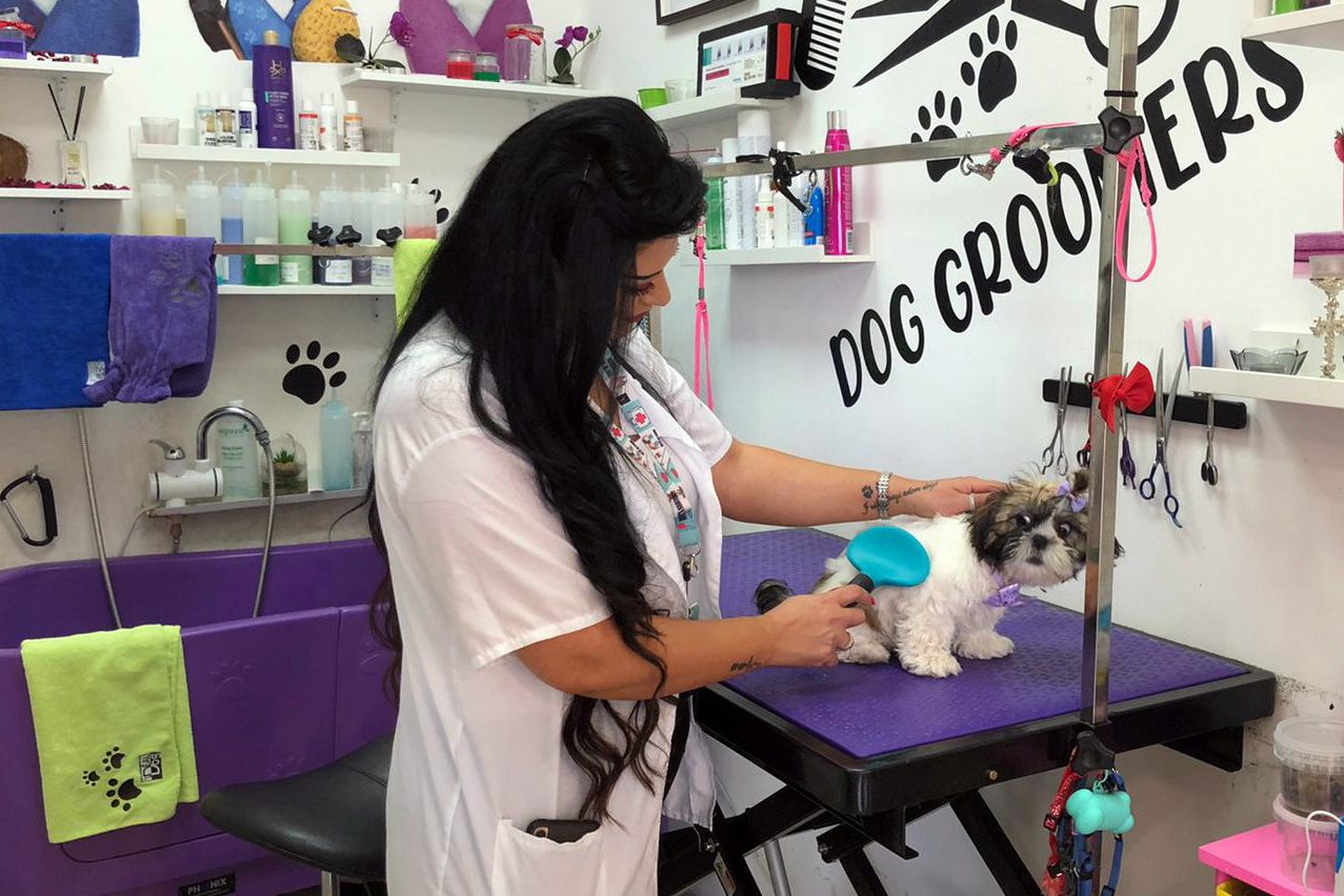 COVID-19 forces switch from hairdresser to dog groomer