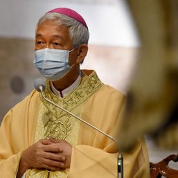 Pope Francis promotes outspoken Bishop Pabillo, moves him to Palawan