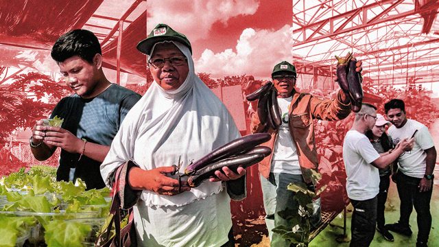 [OPINION] Community gardens and fixing our food system