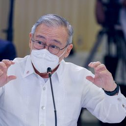 Locsin to Roque: Leave foreign affairs matters to me